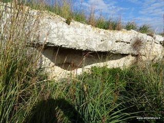 Grotte san Giorgio